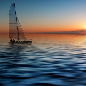 Meet your Posher, Logan